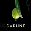DAPHNE OLIVE OIL