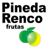 FRUTAS PINEDA RENCO S.L.