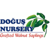 DOGUS NURSERY - WALNUT TREE AND WALNUT SAPLINGS