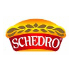 SCHEDRO LLC
