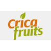 CRICA FRUITS
