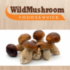 WILD MUSHROOM LTD