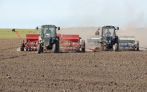 В Днепропетровской обл.посеют более 500тыс.га озимой пшеницы