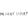 DILIGENT EXPORT